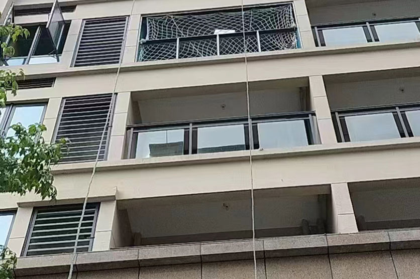 案例展示